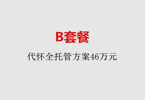珠海B套餐：代怀全托管方案46万元